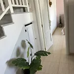 度假居 Palmeras 科斯塔特吉塞