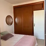 Palmeras * 科斯塔特吉塞