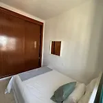 Palmeras * 科斯塔特吉塞