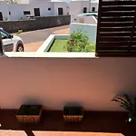 Palmeras * 科斯塔特吉塞