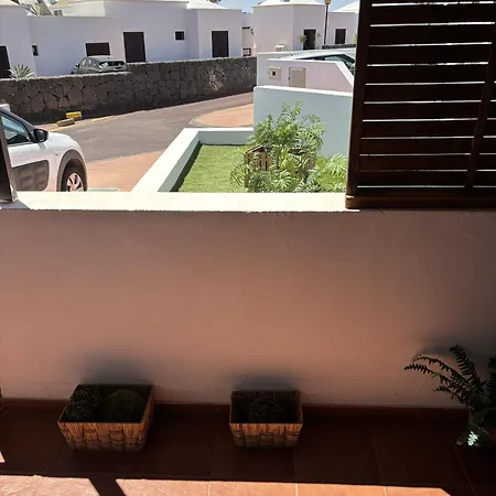 Palmeras