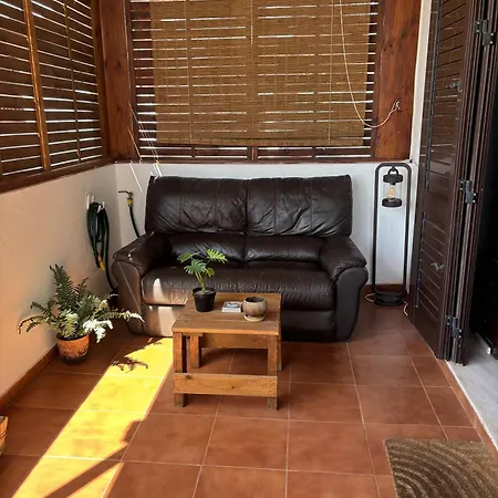 Palmeras * Costa Teguise