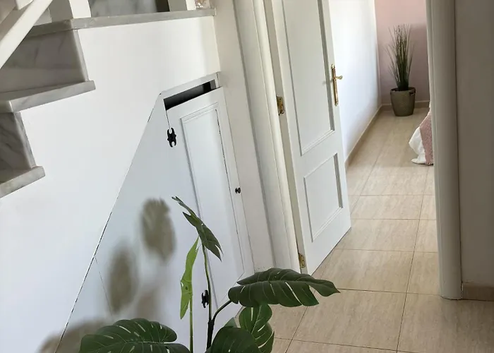 펜션 Palmeras 코스타 테기세