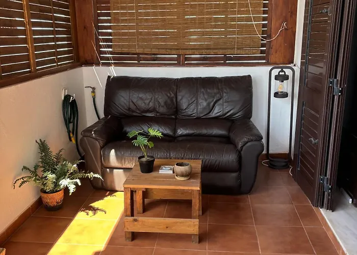 Palmeras * Costa Teguise