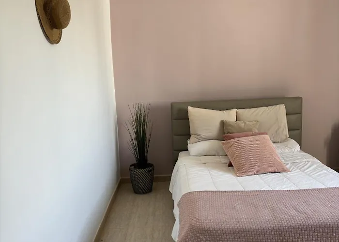 Palmeras Tatil Evi Costa Teguise